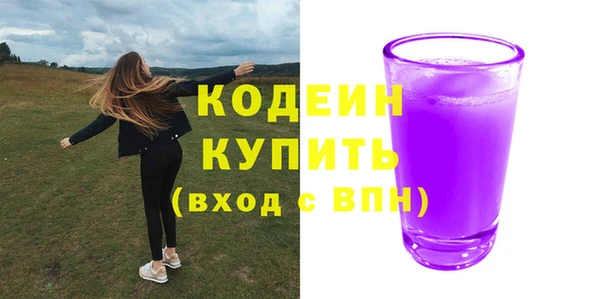 спиды Богданович