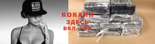 спиды Богданович