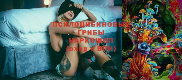 mix Богородицк