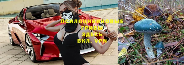 спиды Богданович
